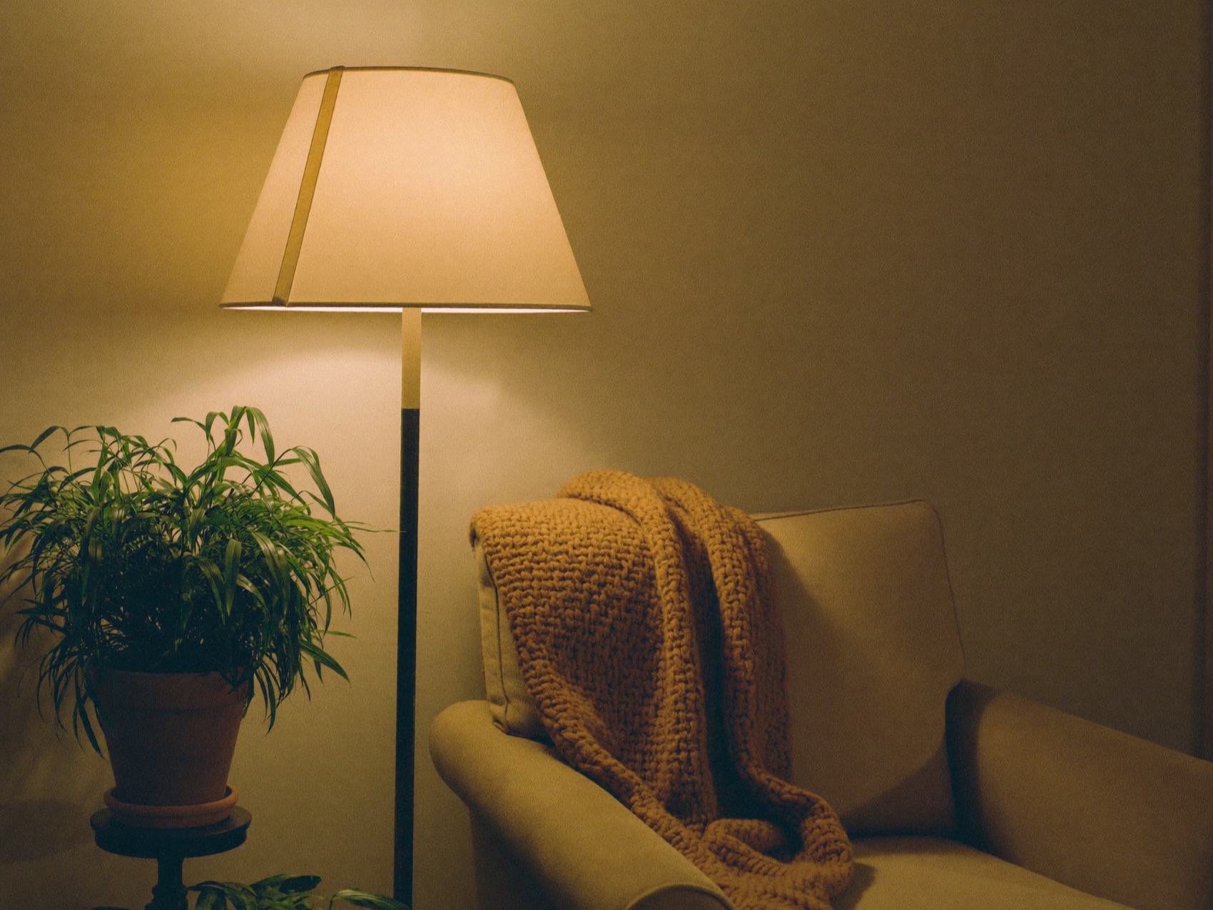 Warmly lit co-living living room at dusk with lamps and overhead lighting on